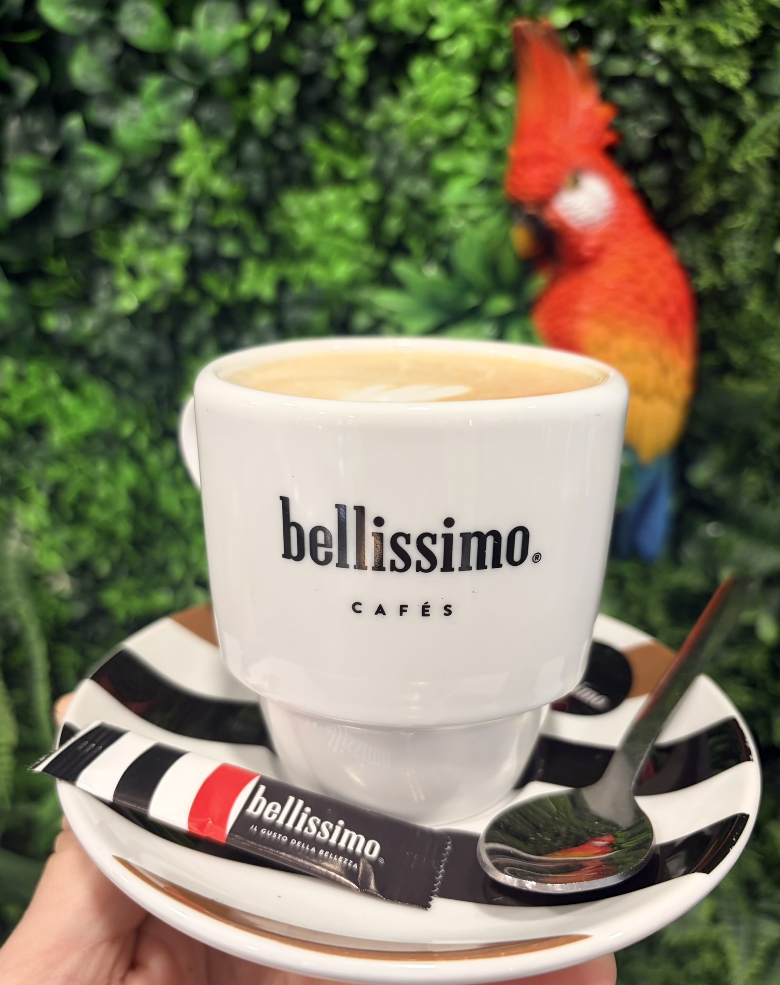 Café Bellissimo